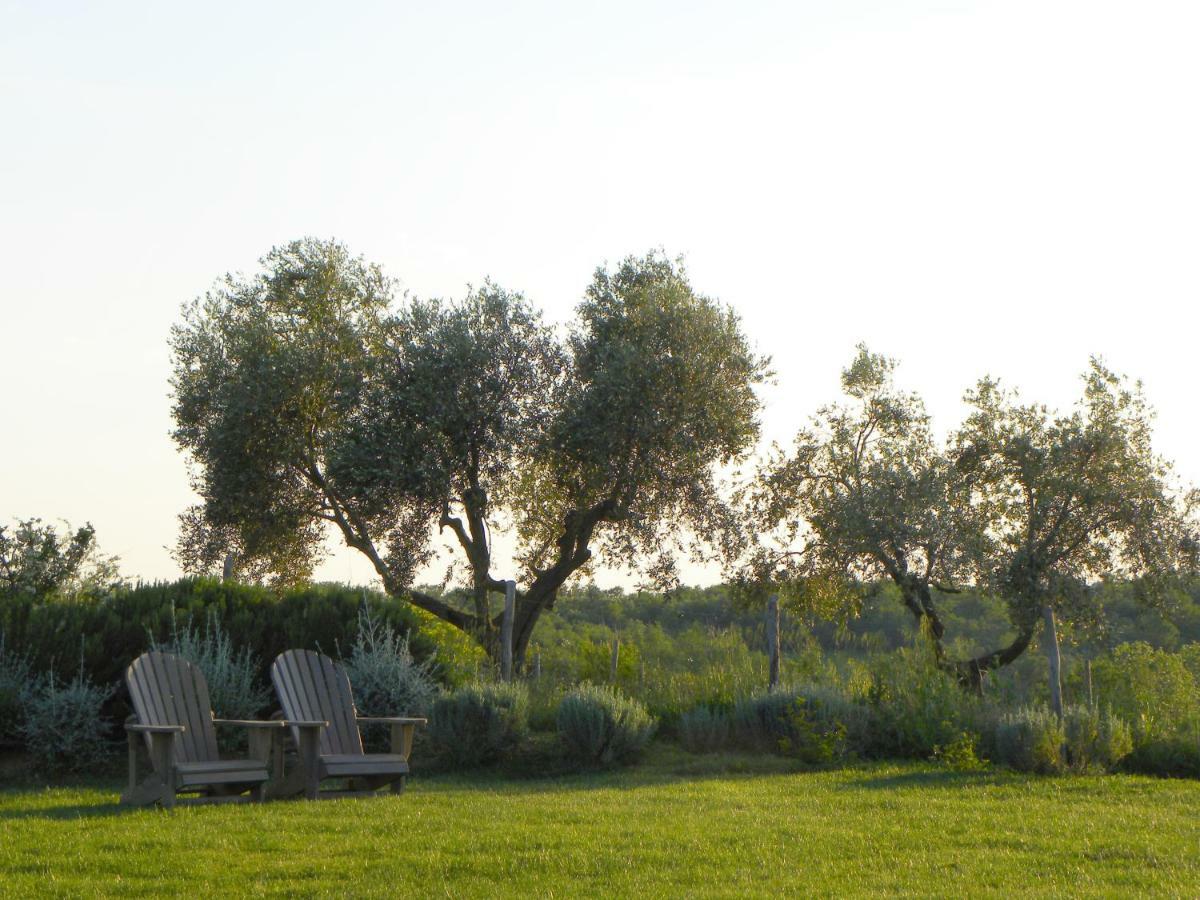 Bed and Breakfast Macchiabuia Capalbio Zewnętrze zdjęcie